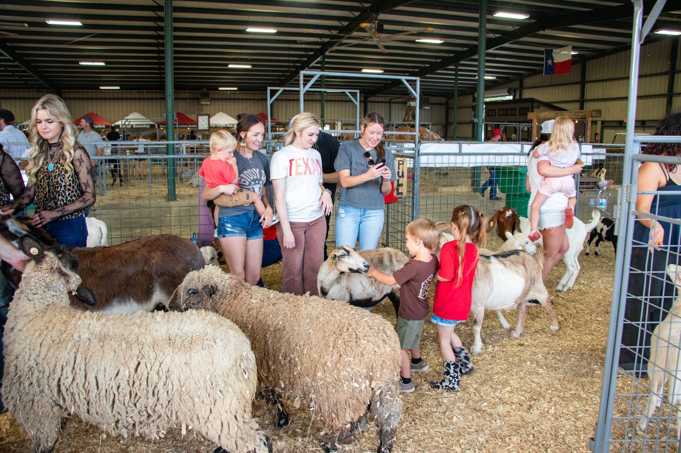 Kids petting sheep and goats in a petting pen